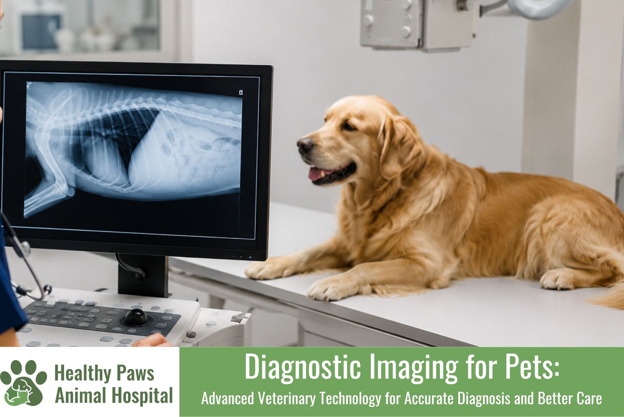 Diagnostic Imaging for Pets: Advanced Veterinary Technology for Accurate Diagnosis and Better Care