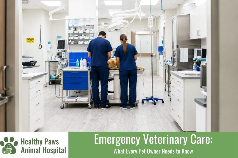 Emergency Veterinary Care: What Every Pet Owner Needs to Know