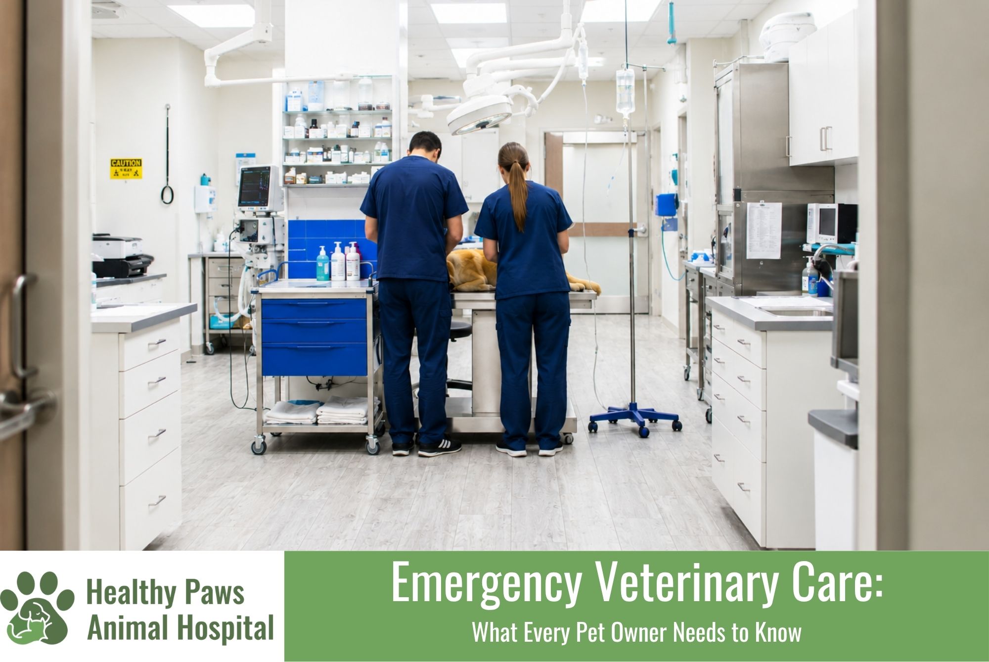 Emergency Veterinary Care: What Every Pet Owner Needs to Know
